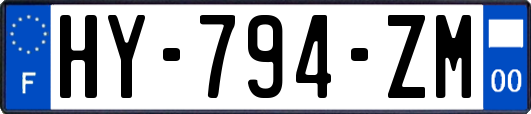 HY-794-ZM