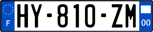 HY-810-ZM