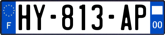 HY-813-AP
