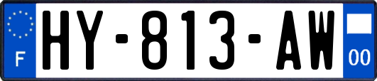 HY-813-AW