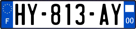 HY-813-AY