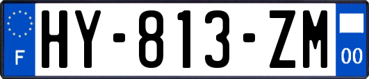 HY-813-ZM