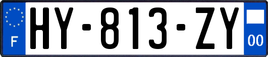 HY-813-ZY
