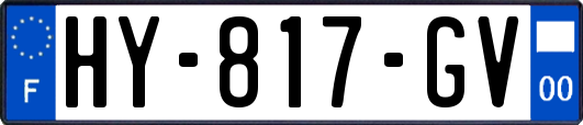 HY-817-GV