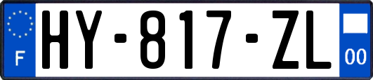 HY-817-ZL