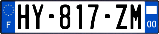 HY-817-ZM