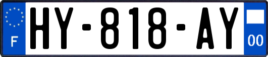 HY-818-AY
