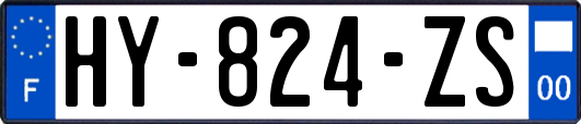 HY-824-ZS