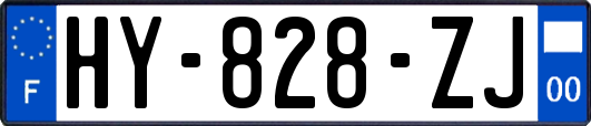 HY-828-ZJ