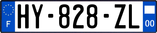 HY-828-ZL