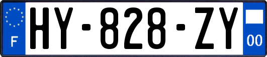 HY-828-ZY