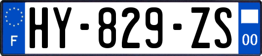 HY-829-ZS