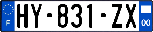 HY-831-ZX