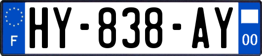 HY-838-AY