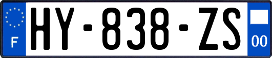 HY-838-ZS