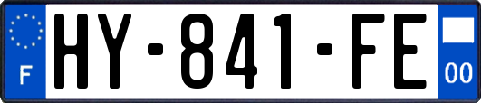 HY-841-FE