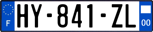 HY-841-ZL