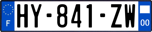 HY-841-ZW