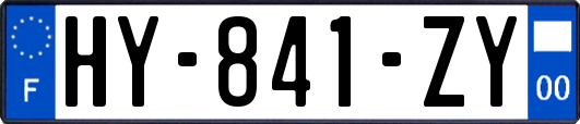 HY-841-ZY