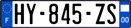 HY-845-ZS
