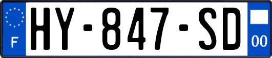 HY-847-SD