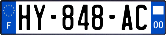 HY-848-AC