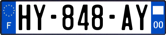 HY-848-AY