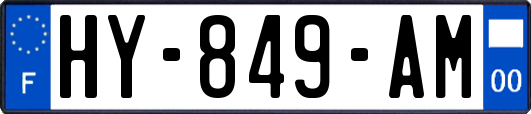 HY-849-AM