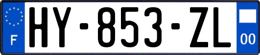 HY-853-ZL