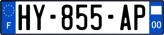 HY-855-AP