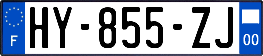 HY-855-ZJ