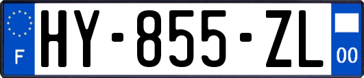 HY-855-ZL