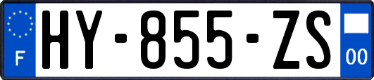HY-855-ZS