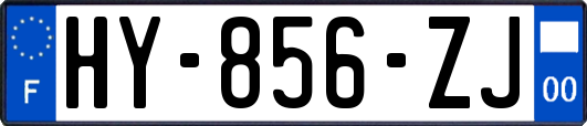 HY-856-ZJ