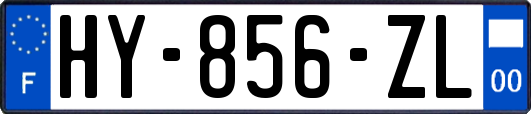 HY-856-ZL