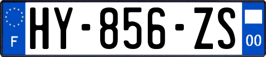 HY-856-ZS