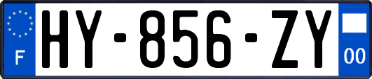 HY-856-ZY