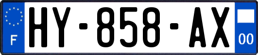 HY-858-AX