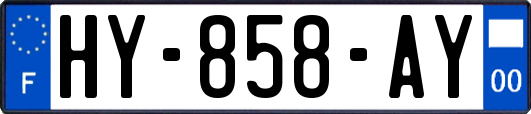 HY-858-AY