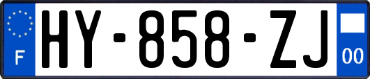 HY-858-ZJ
