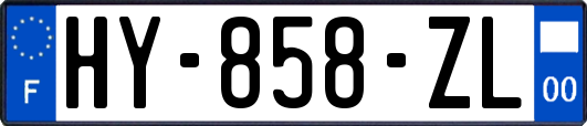 HY-858-ZL