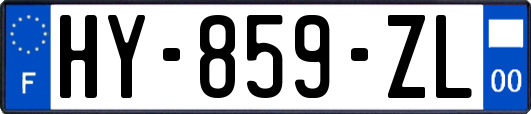 HY-859-ZL