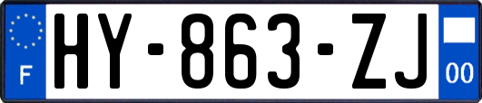 HY-863-ZJ