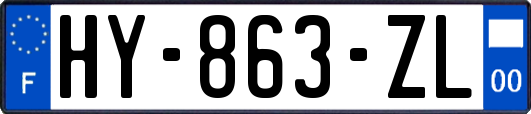 HY-863-ZL