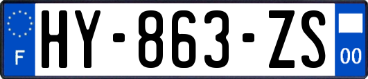 HY-863-ZS