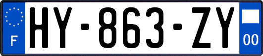 HY-863-ZY