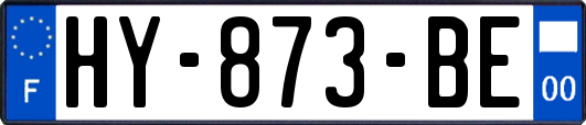 HY-873-BE