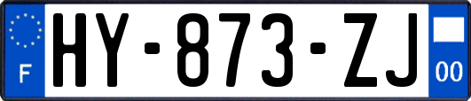HY-873-ZJ