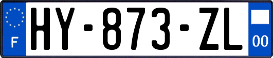 HY-873-ZL