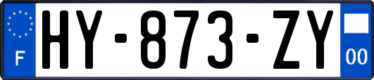 HY-873-ZY